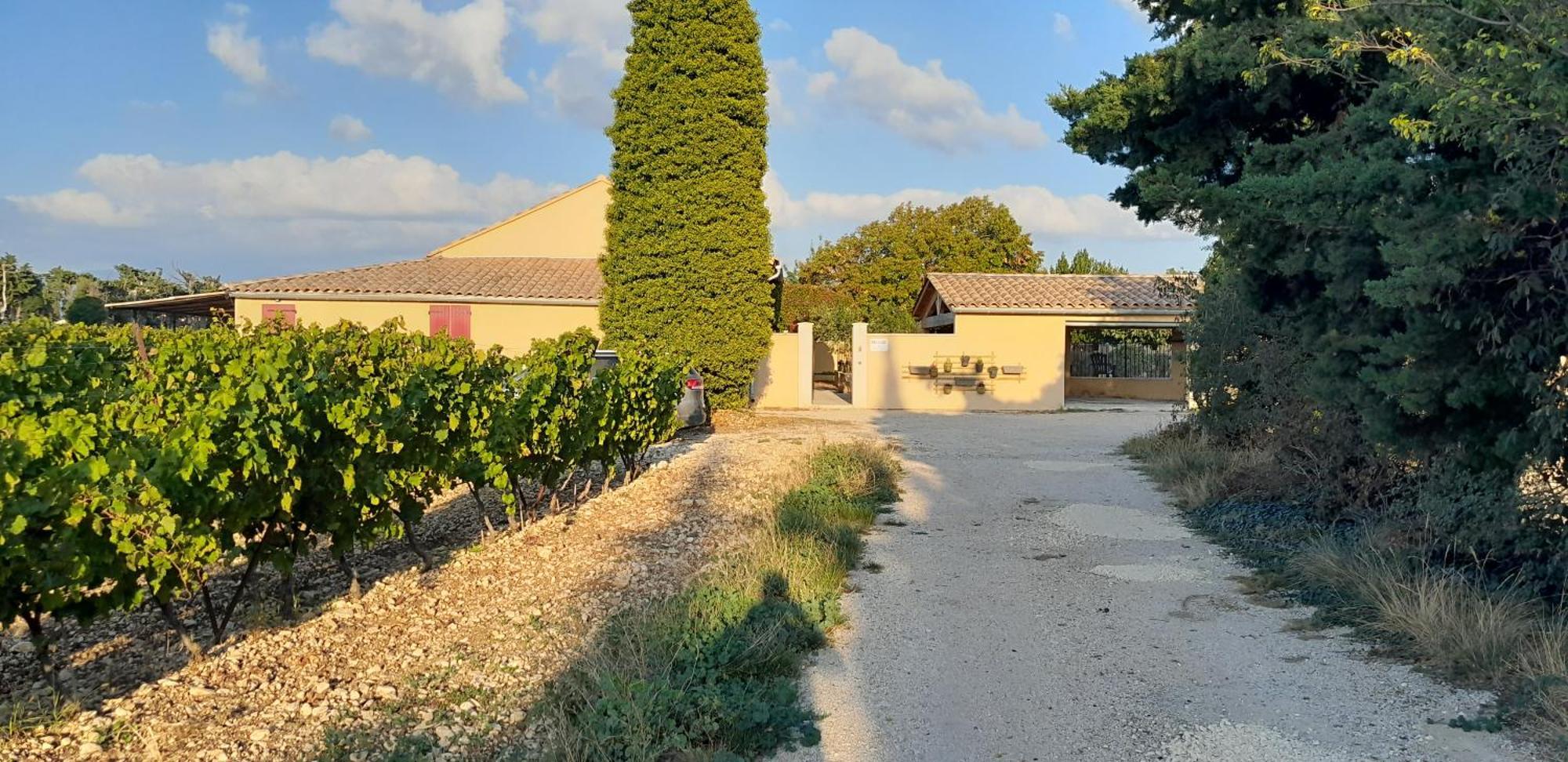 Mas La Gentille ,,, A La Campagne , Beautiful Outdoor , Swimming Pool , Pool House , Nice Green Garden , Bbq ,,, Only For You , Pour Passer Un Sejour Inoubliable Pernes-les-Fontaines Kültér fotó
